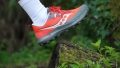 Saucony Peregrine 14 PWRRUN